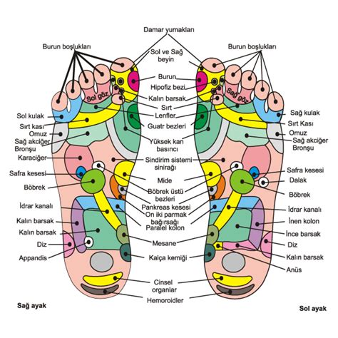 Ayak Refleksolojisi Nedir ve Nasıl Uygulanır?